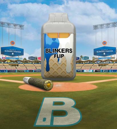 BLINKER FLIP HOMEPAGE 2