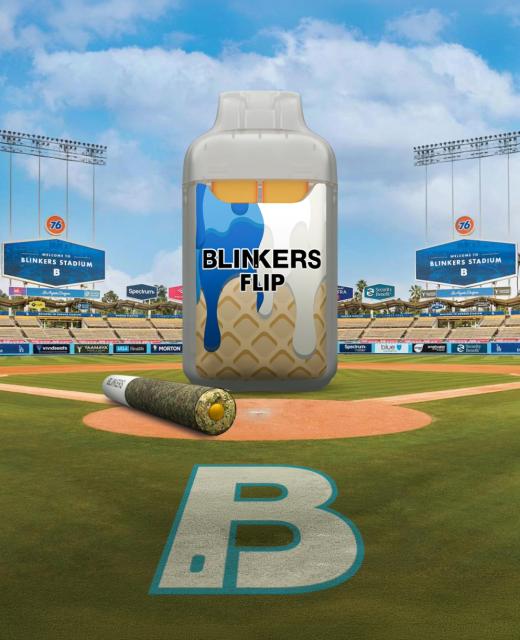 BLINKER FLIP HOMEPAGE 2