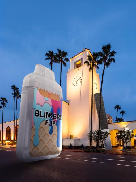 BLINKER FLIP HOMEPAGE 5